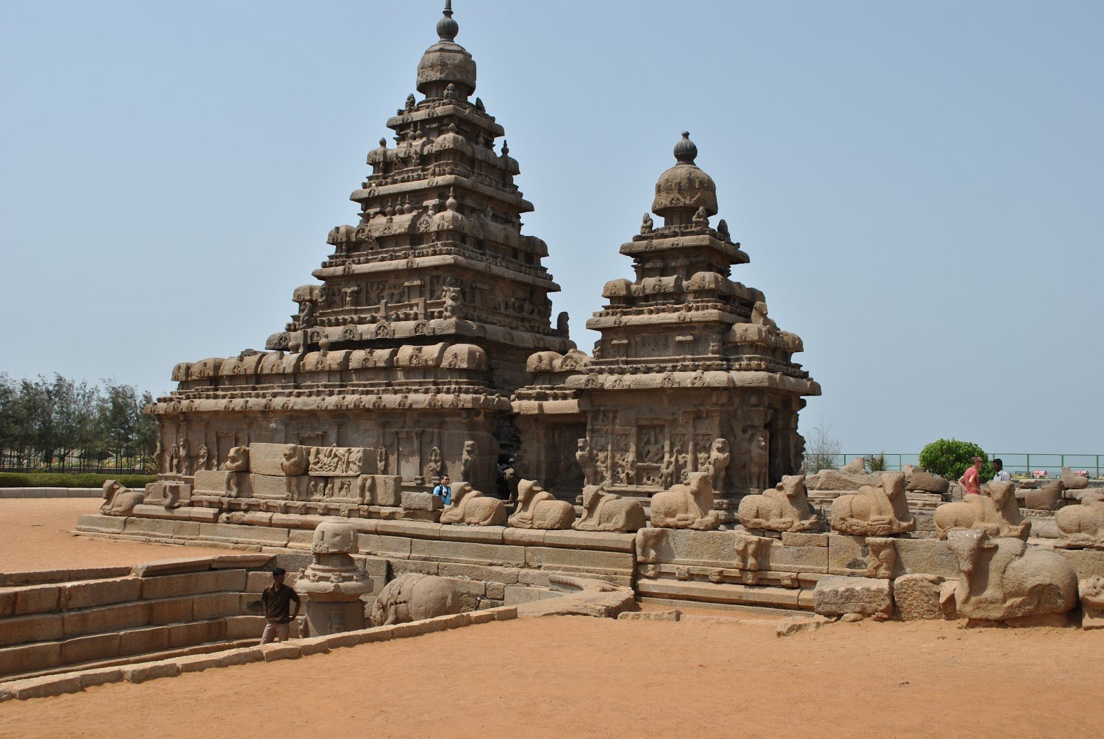mahabalipuram sightseeing tour package
